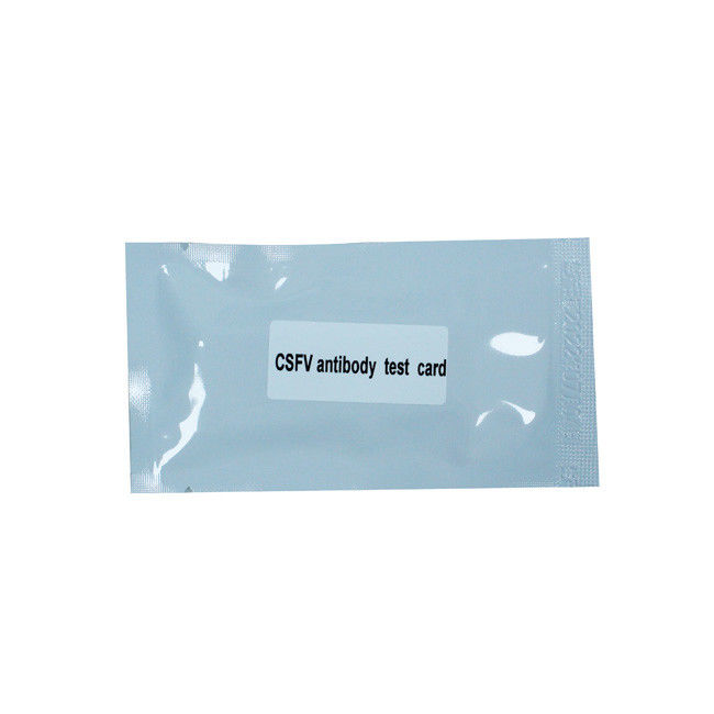 Classical Swine Fever Virus Porcine Test Kit Antibody Test Card For Swine 50Tests/Kit GMP
