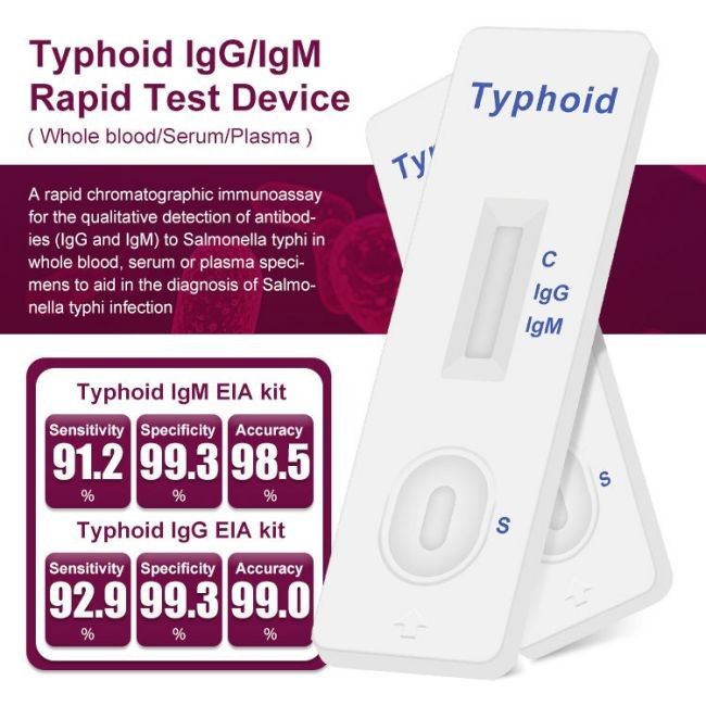 Typhoid IgM / IgG Rapid Antibody Test Cassette One Step 40 Tests/Kit